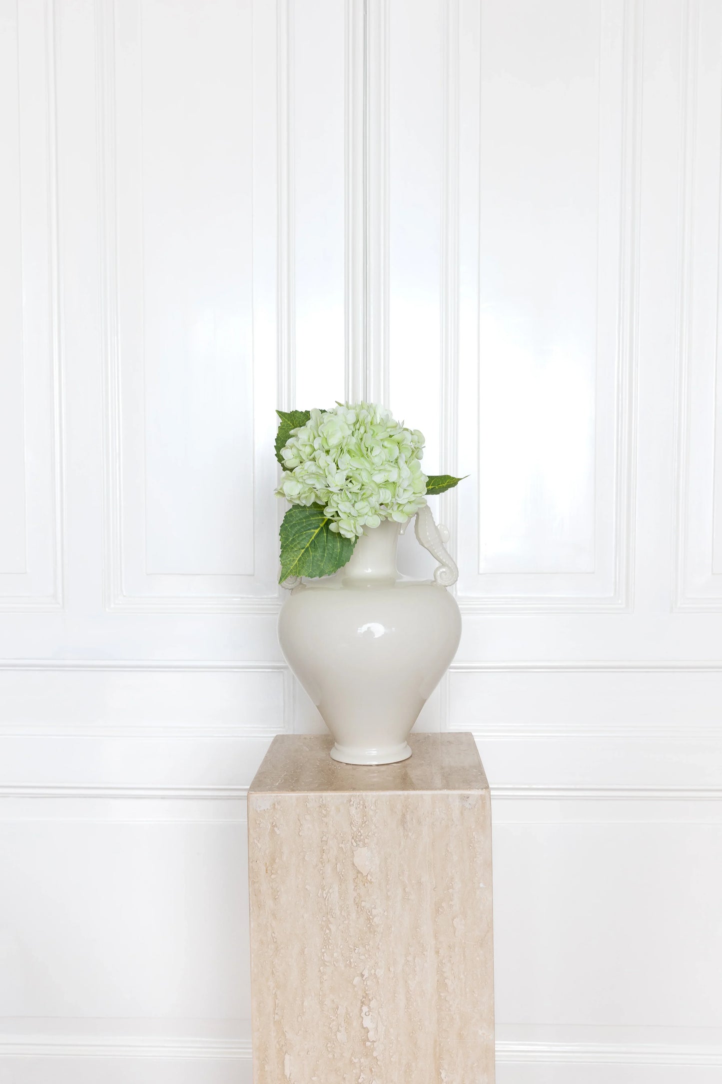 Hortensia Bloem Lichtgroen