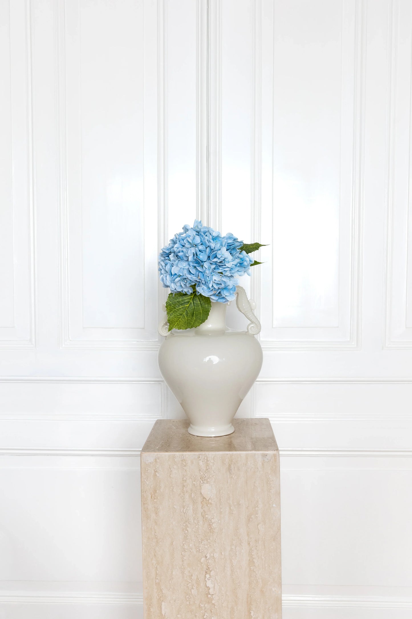 Hortensia Bloem Blauw