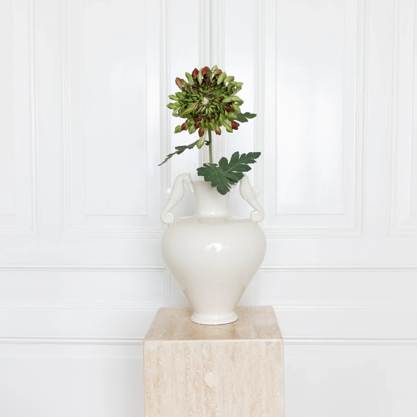 Chrysanthemum Flower Green