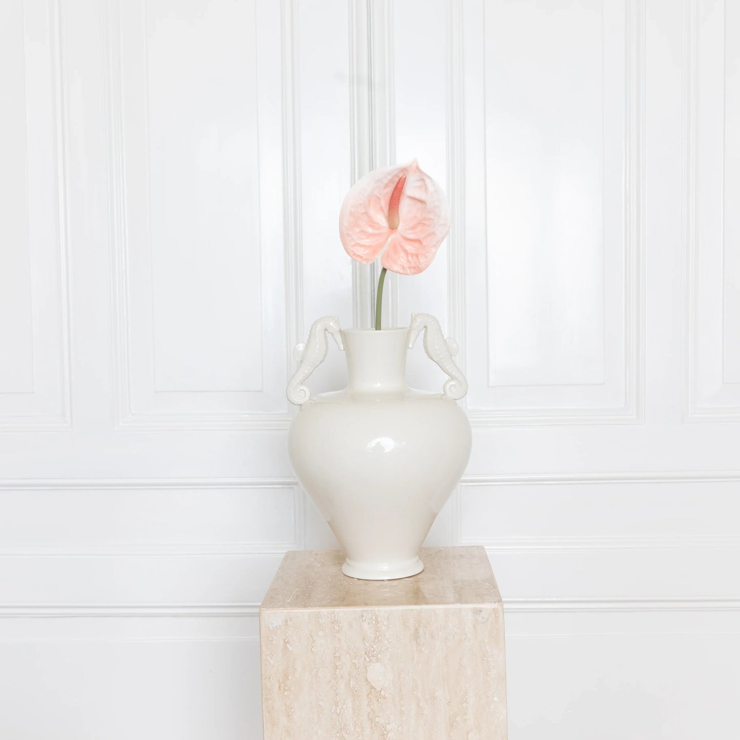 Anthurium Flower Coral