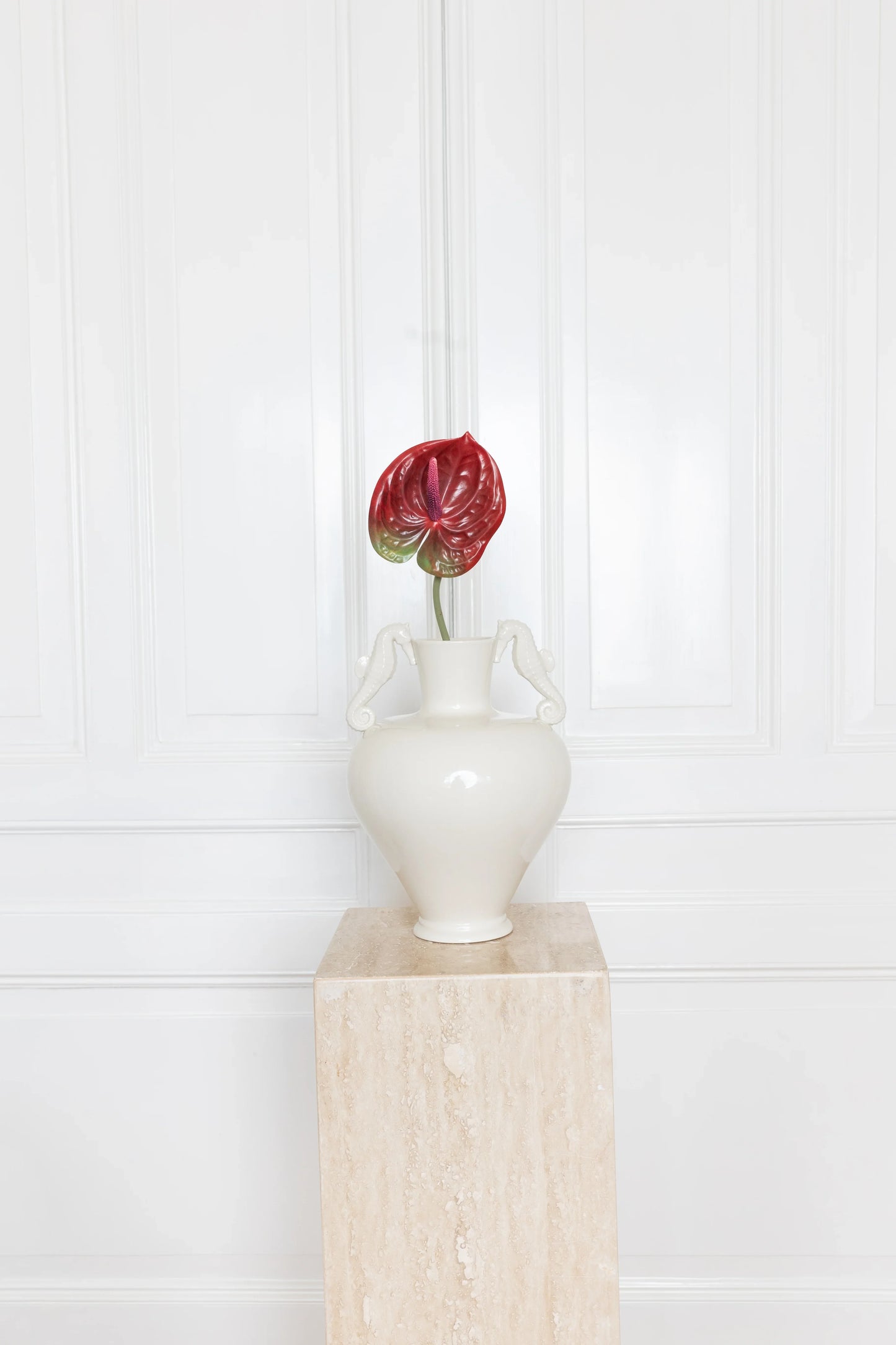 Anthurium Bloem Rood
