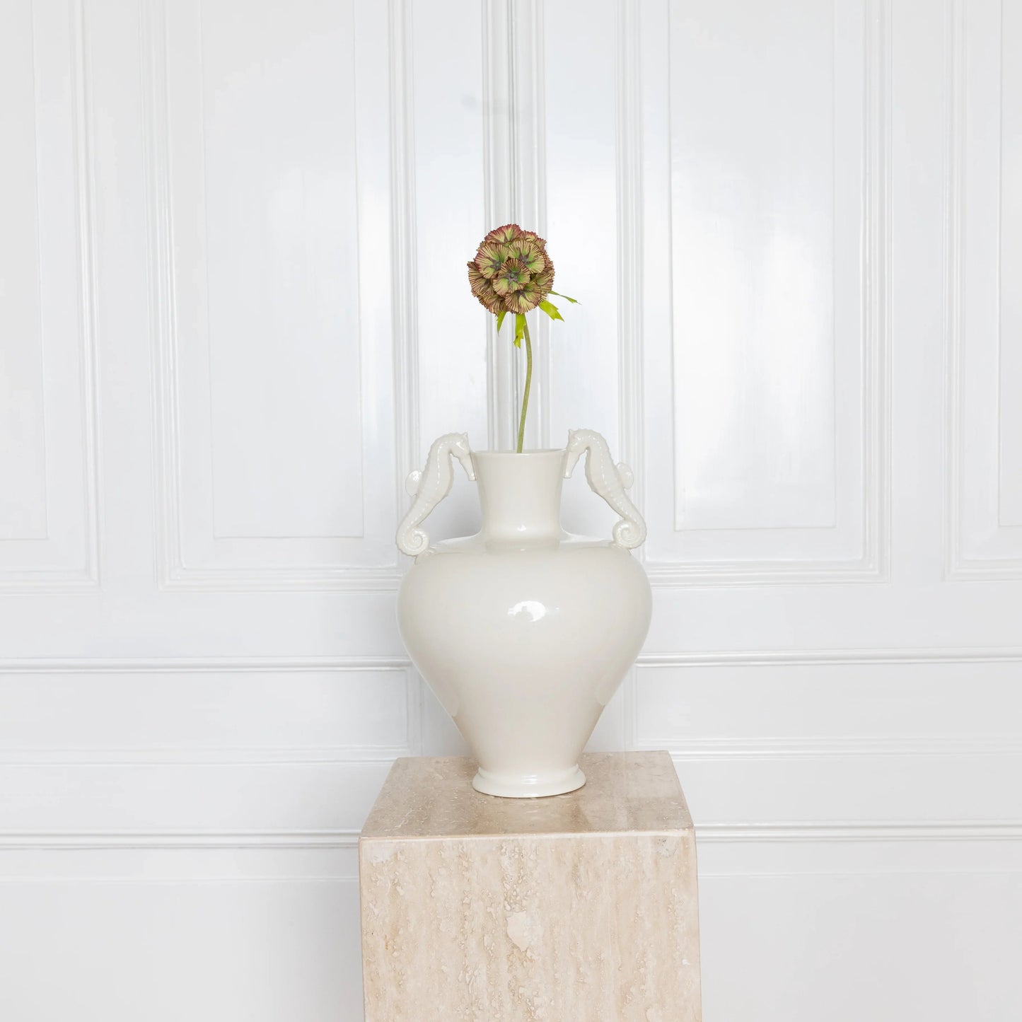 Scabiosa Seed Pod Flower Purple