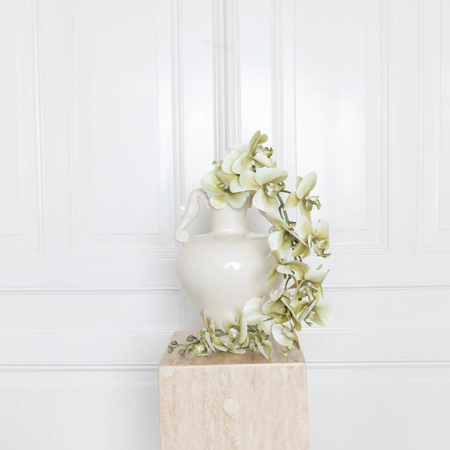 Majestic Orchid Flower Green