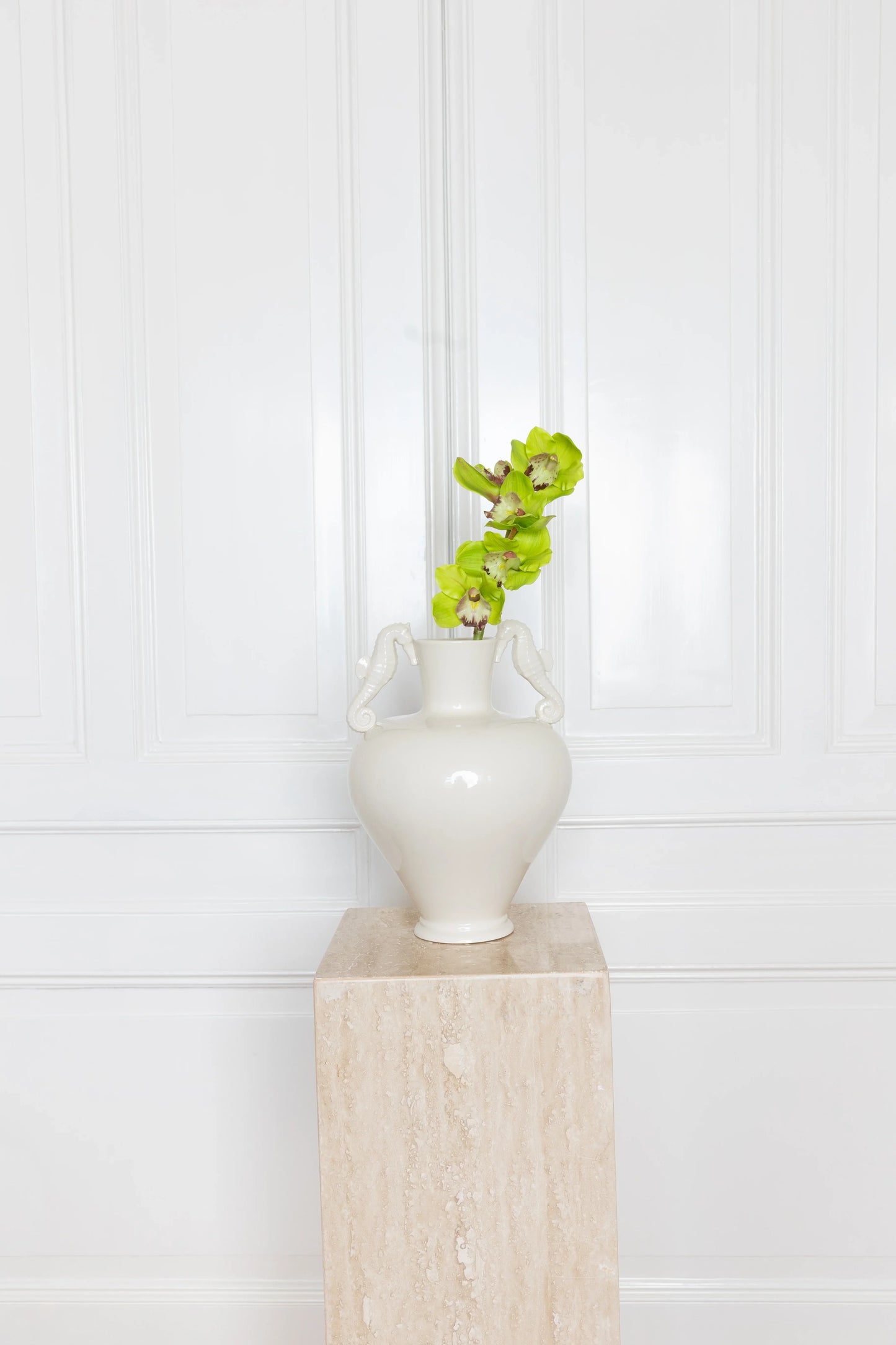 Cymbidium Orchid Flower Green