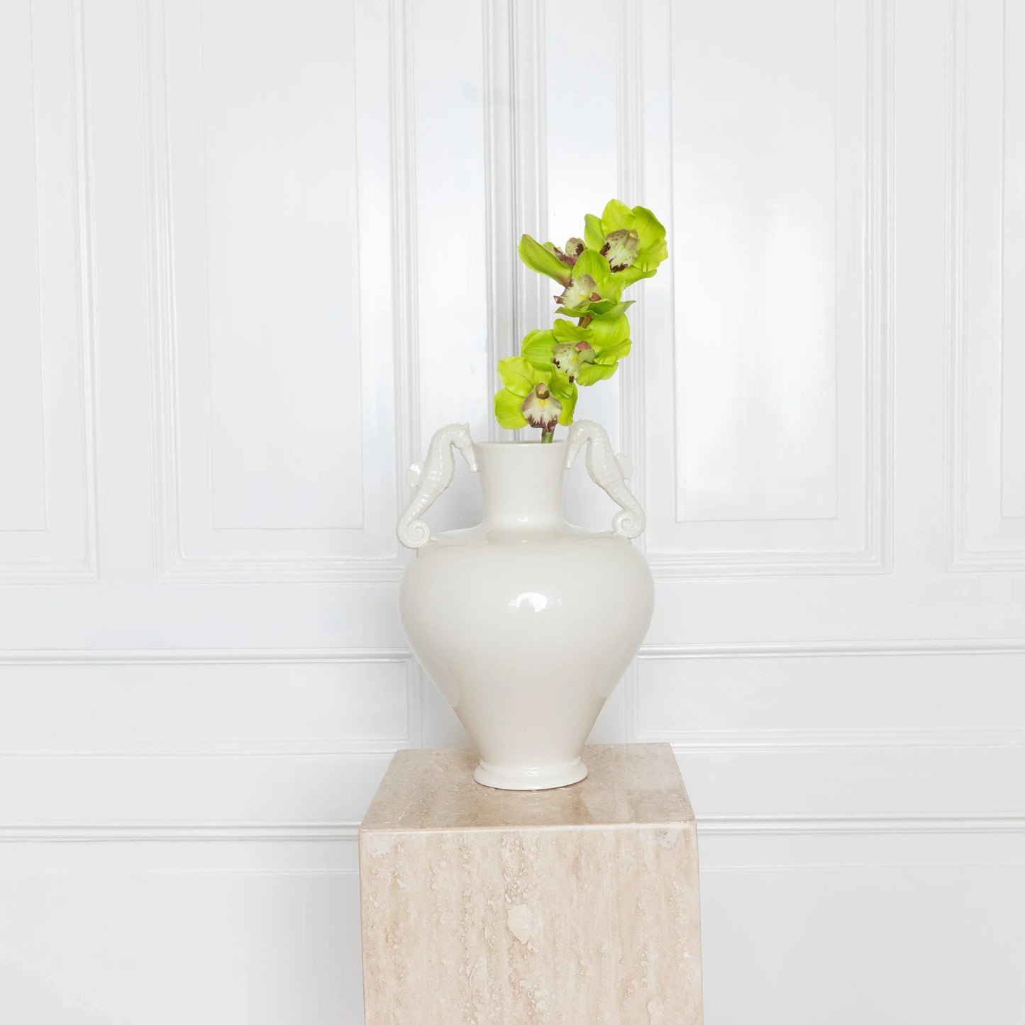 Cymbidium Orchid Flower Green