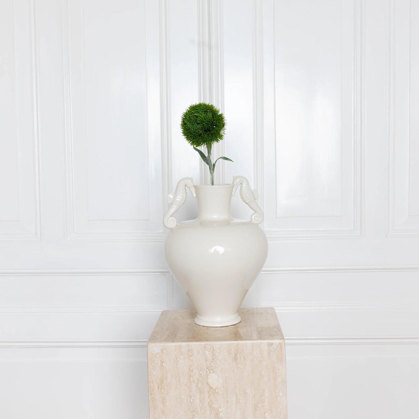 Dianthus Barbatus "Dark Green Ball"