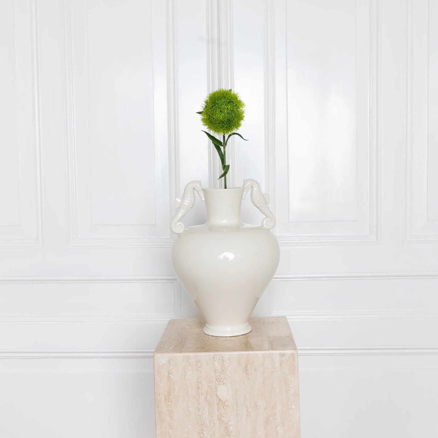 Dianthus Barbatus "Green Ball"