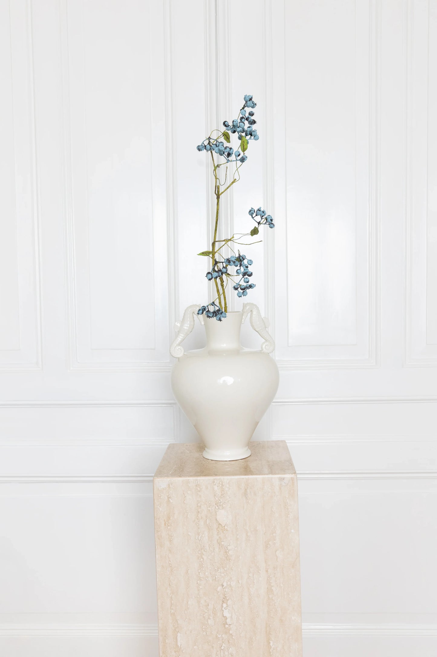 Grote Blauwe Bosbes Tak Blauw