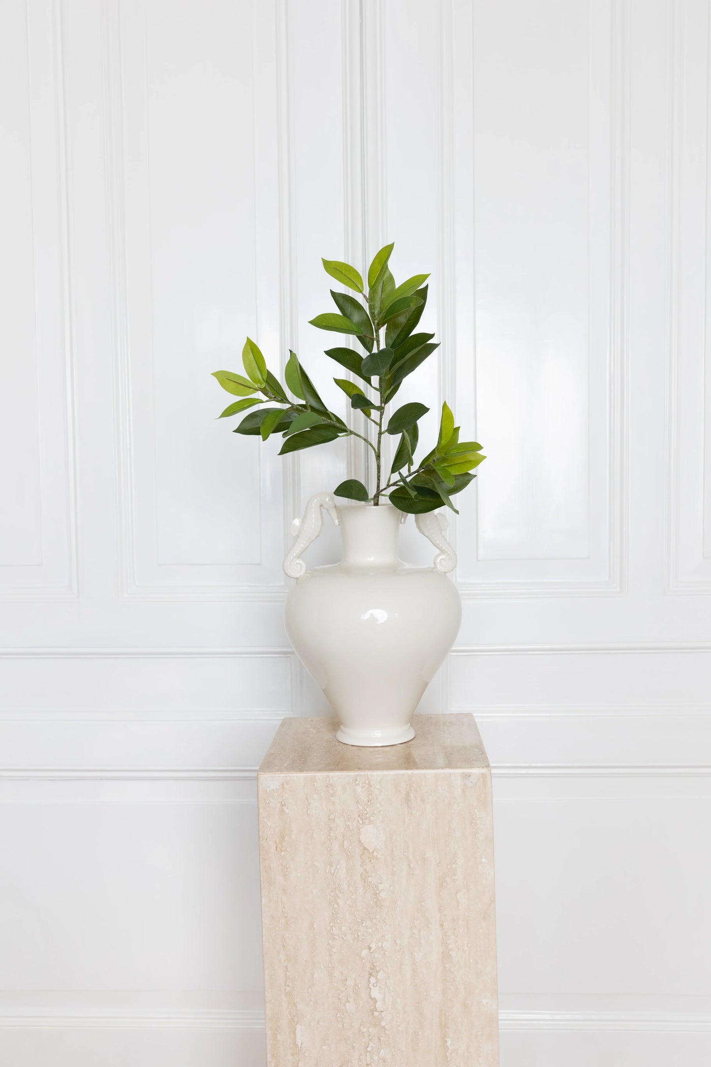 Ruscus Leaves