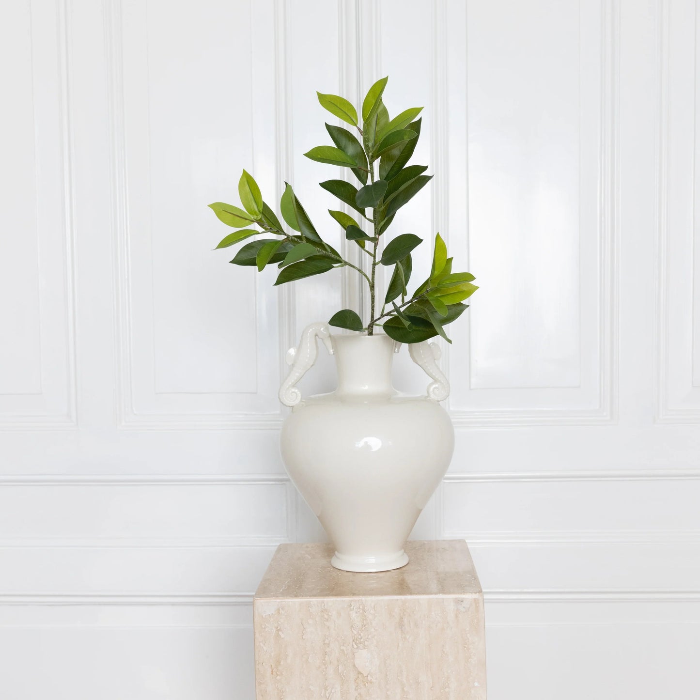 Ruscus Leaves