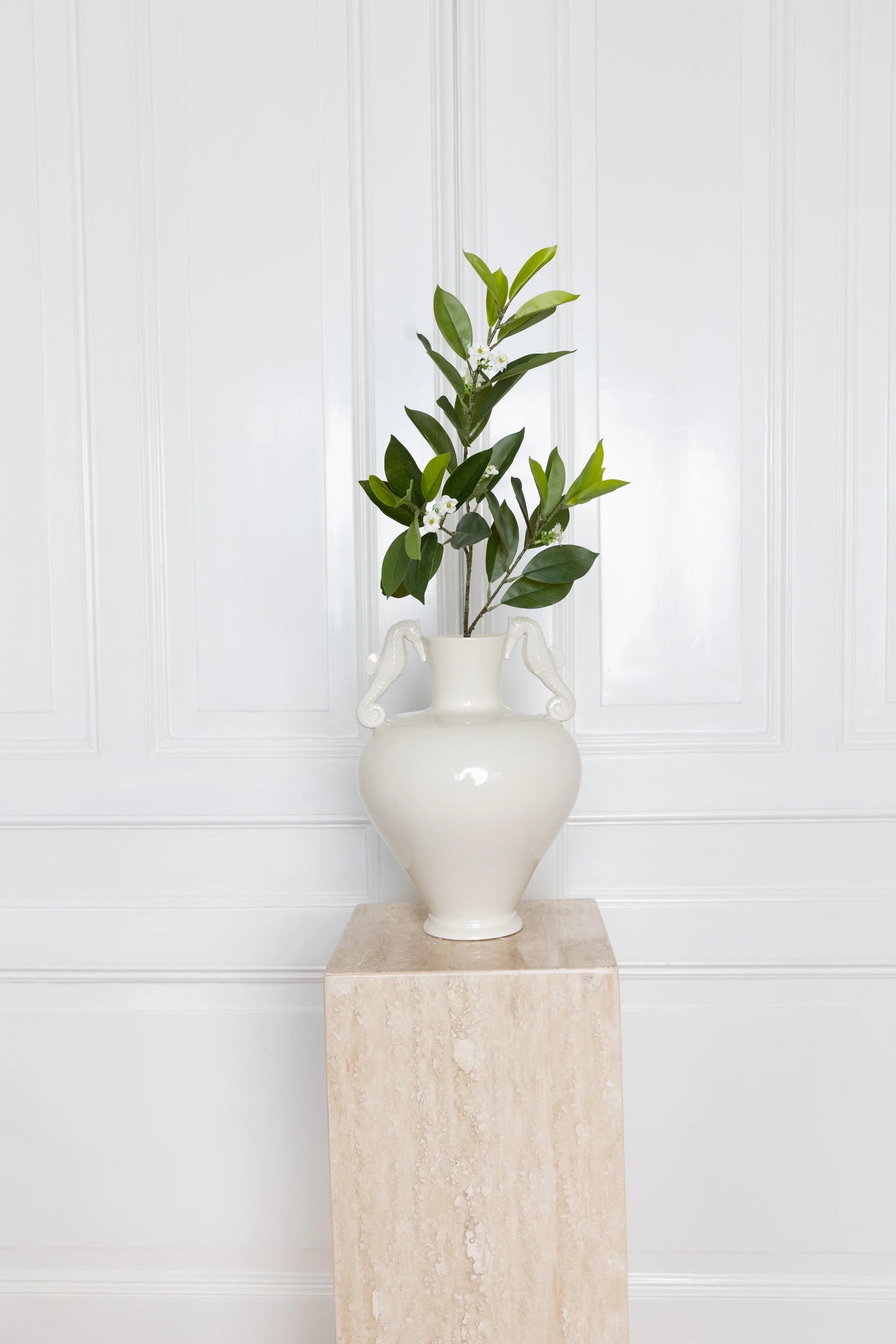 Jasmine Leaves