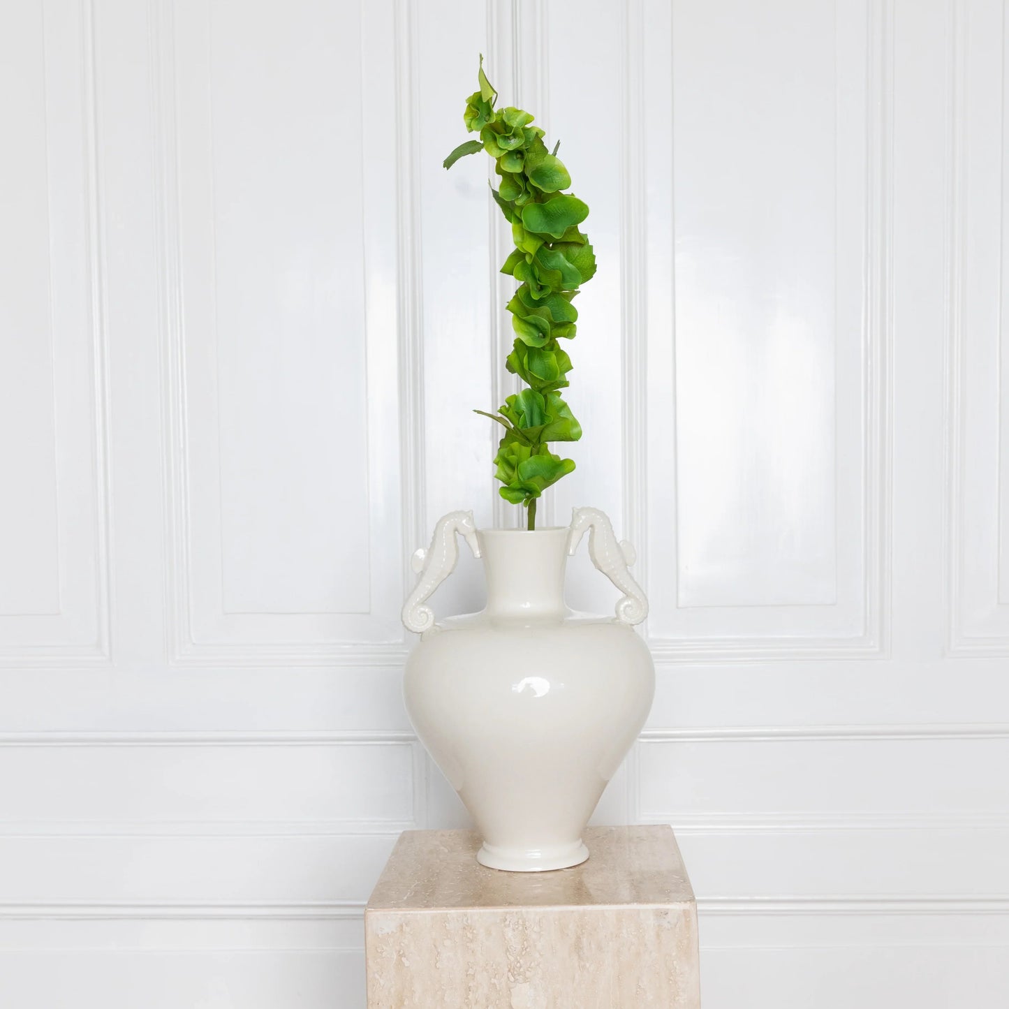 Bells of Ireland Flower