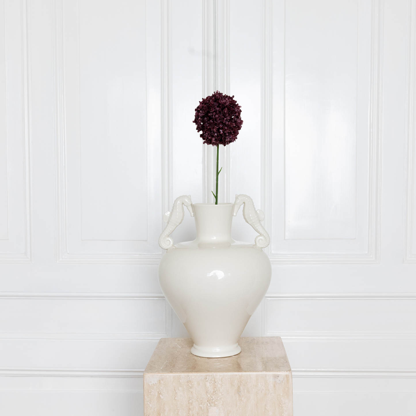 Allium Bulbs Large Burgundy