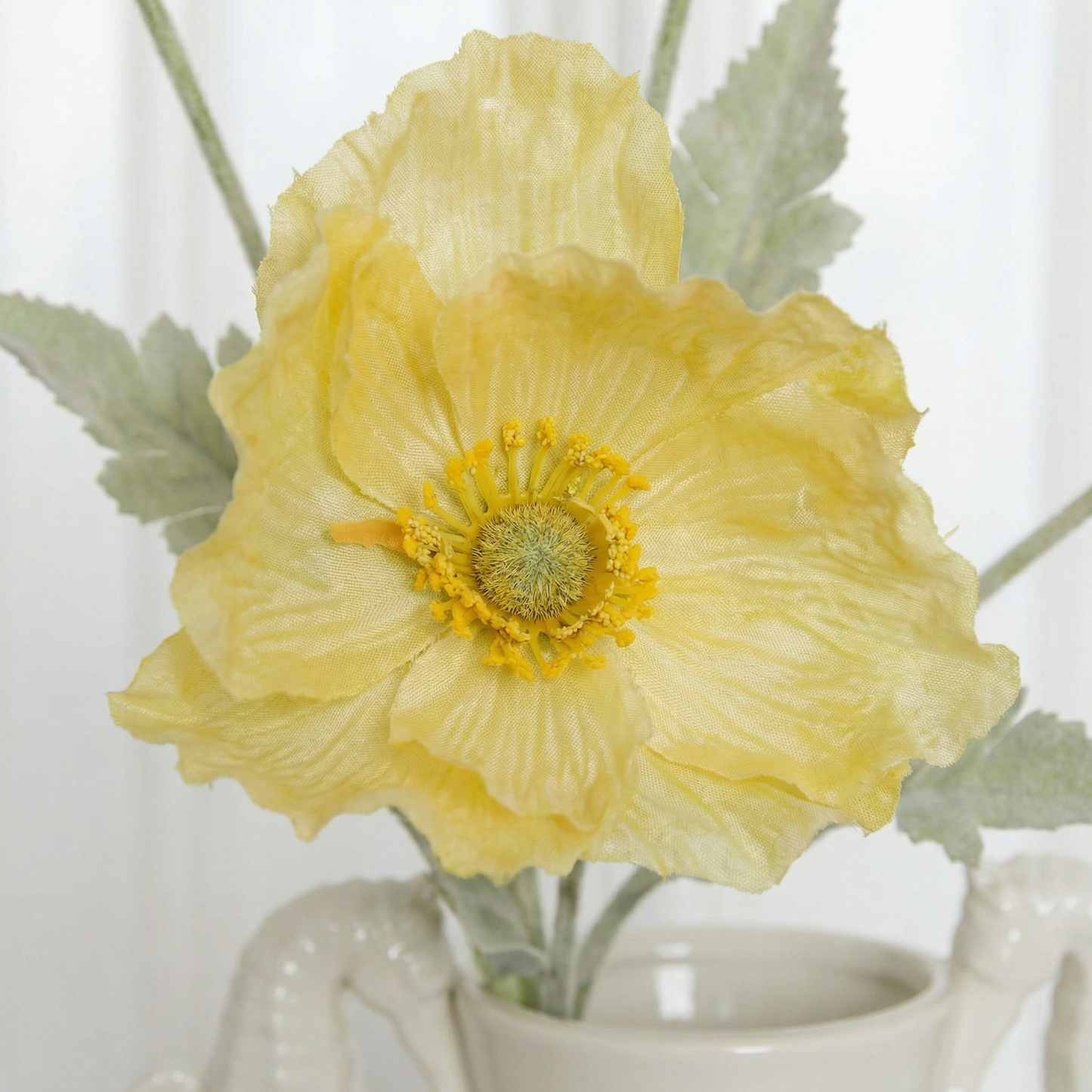 Butter yellow poppy flower zoom in