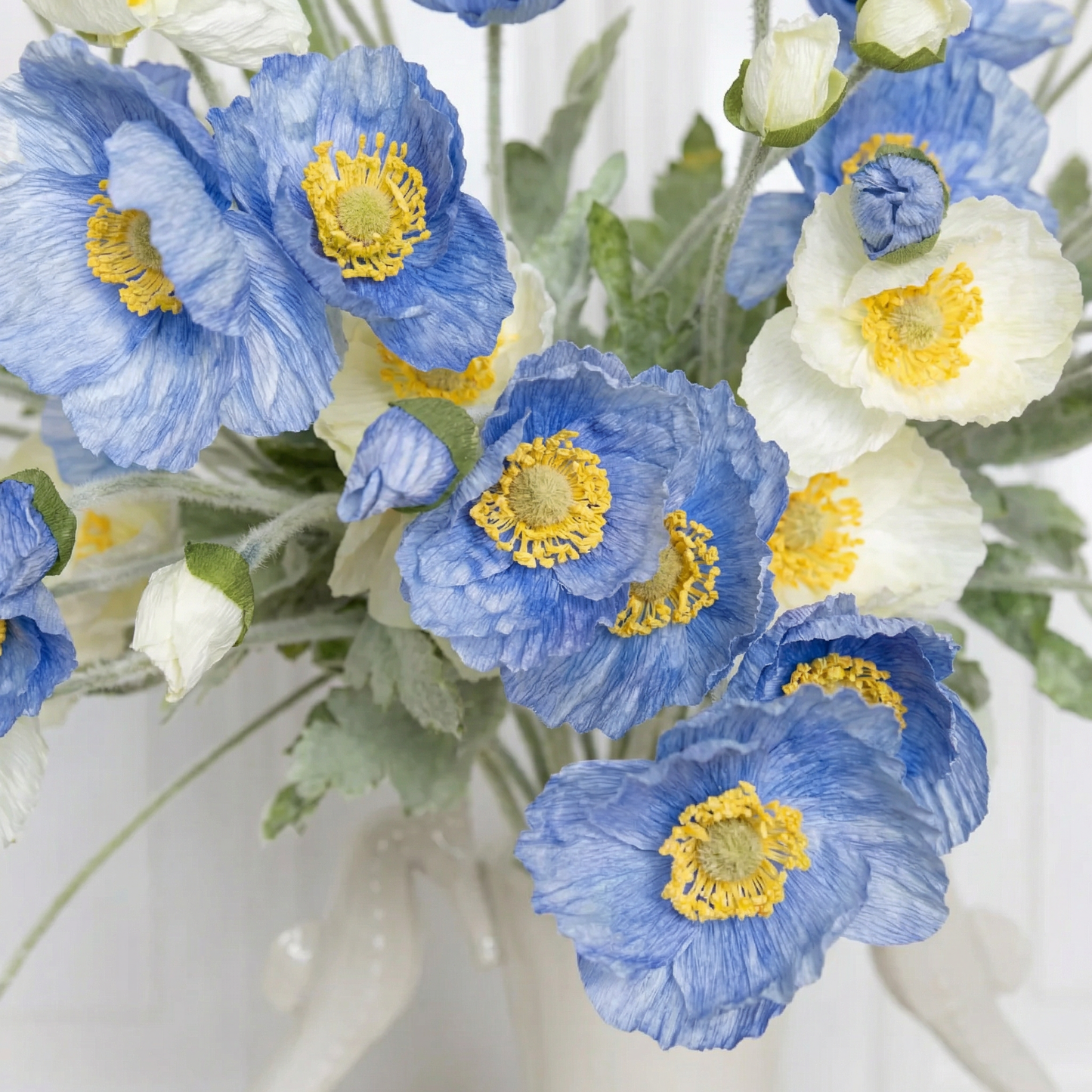 Cloudberry poppy