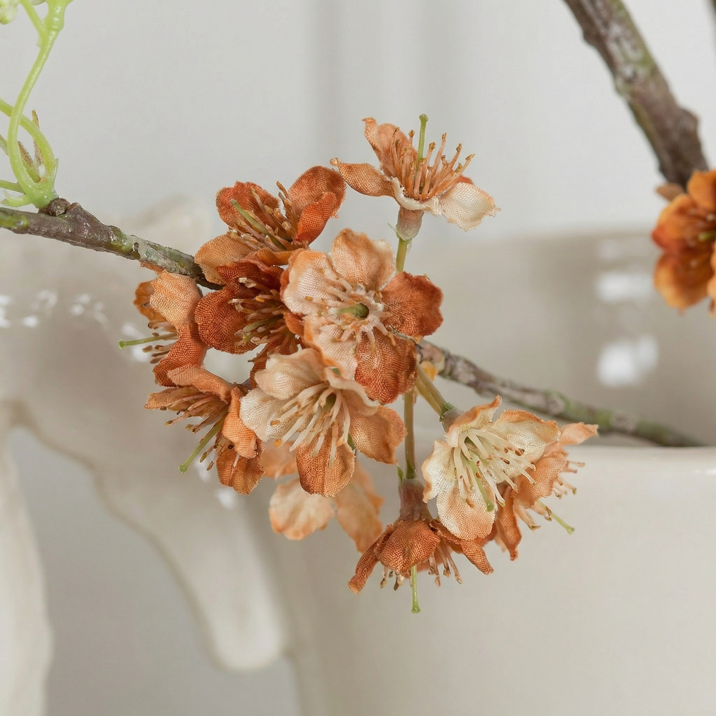 Snow Willow Branch Orange