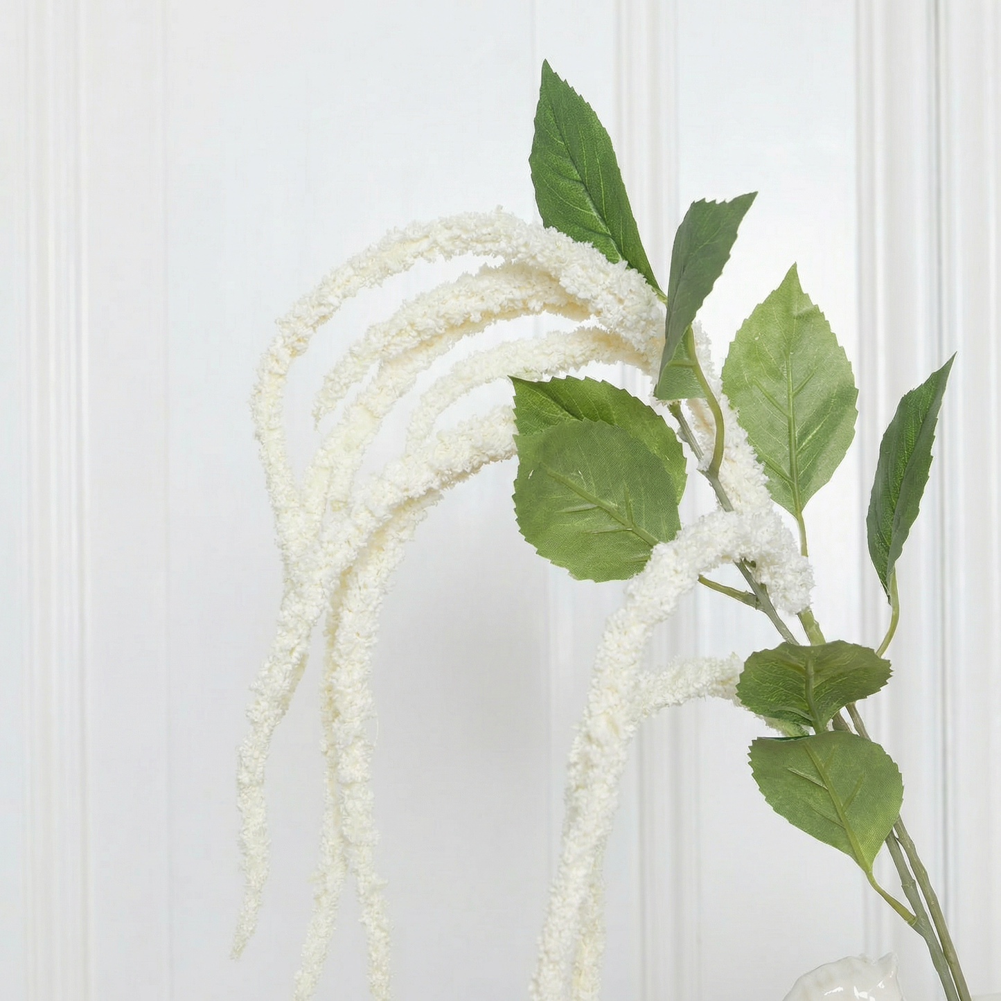 Amaranthus Three Fork White