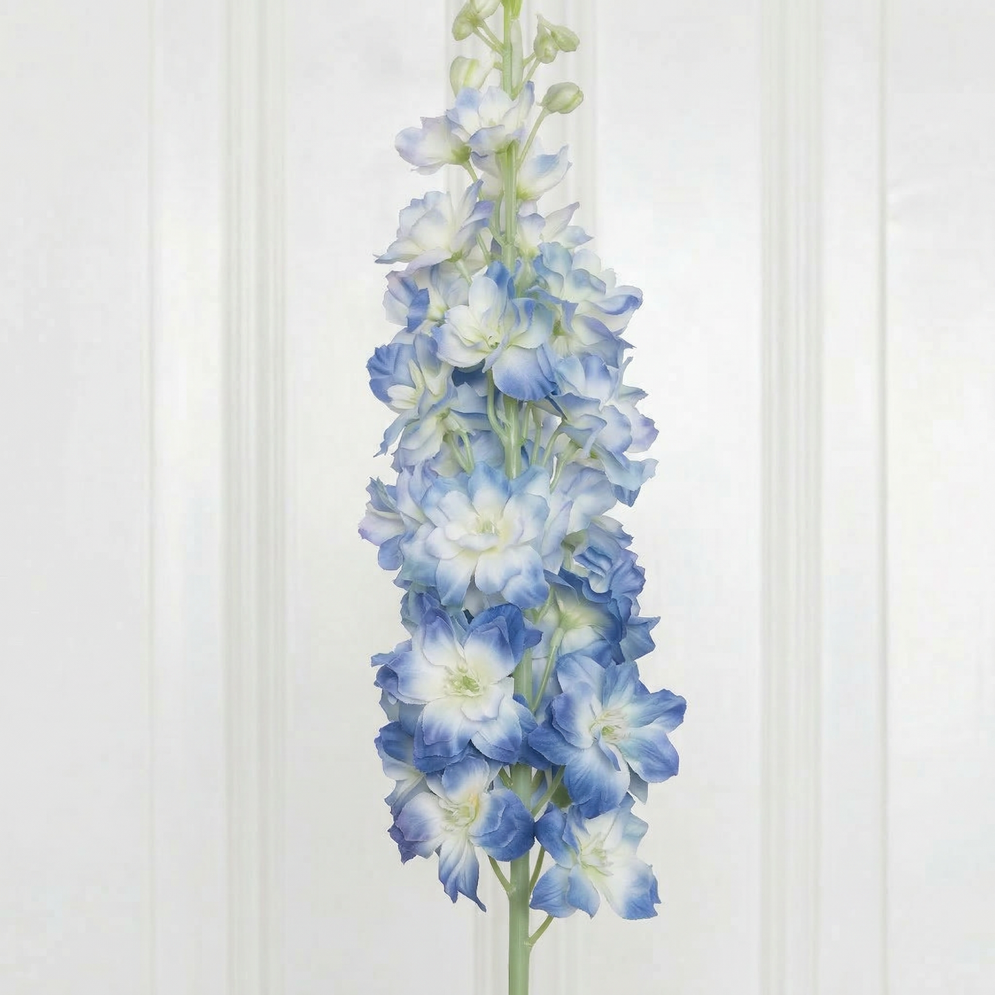 Delphinium Flower Large Blue