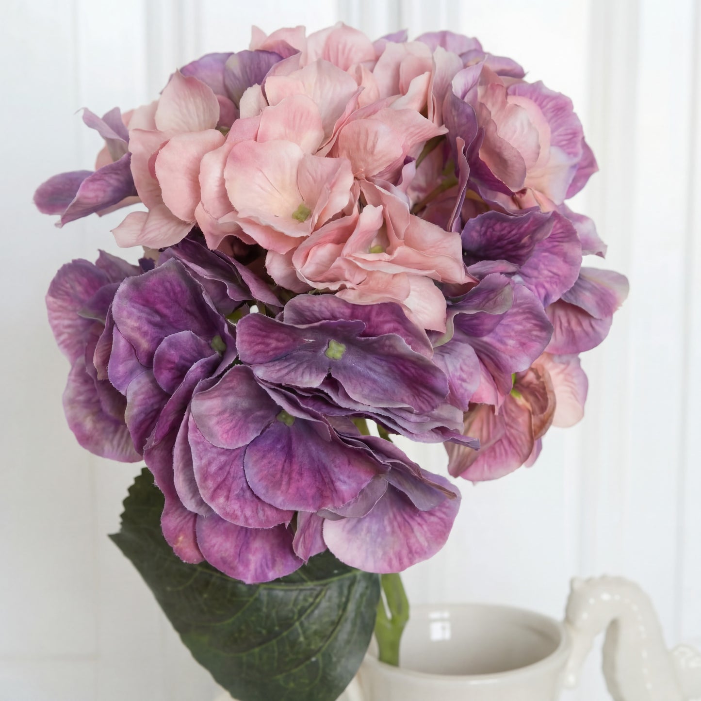 Hydrangea Flower Pink Purple zoom in