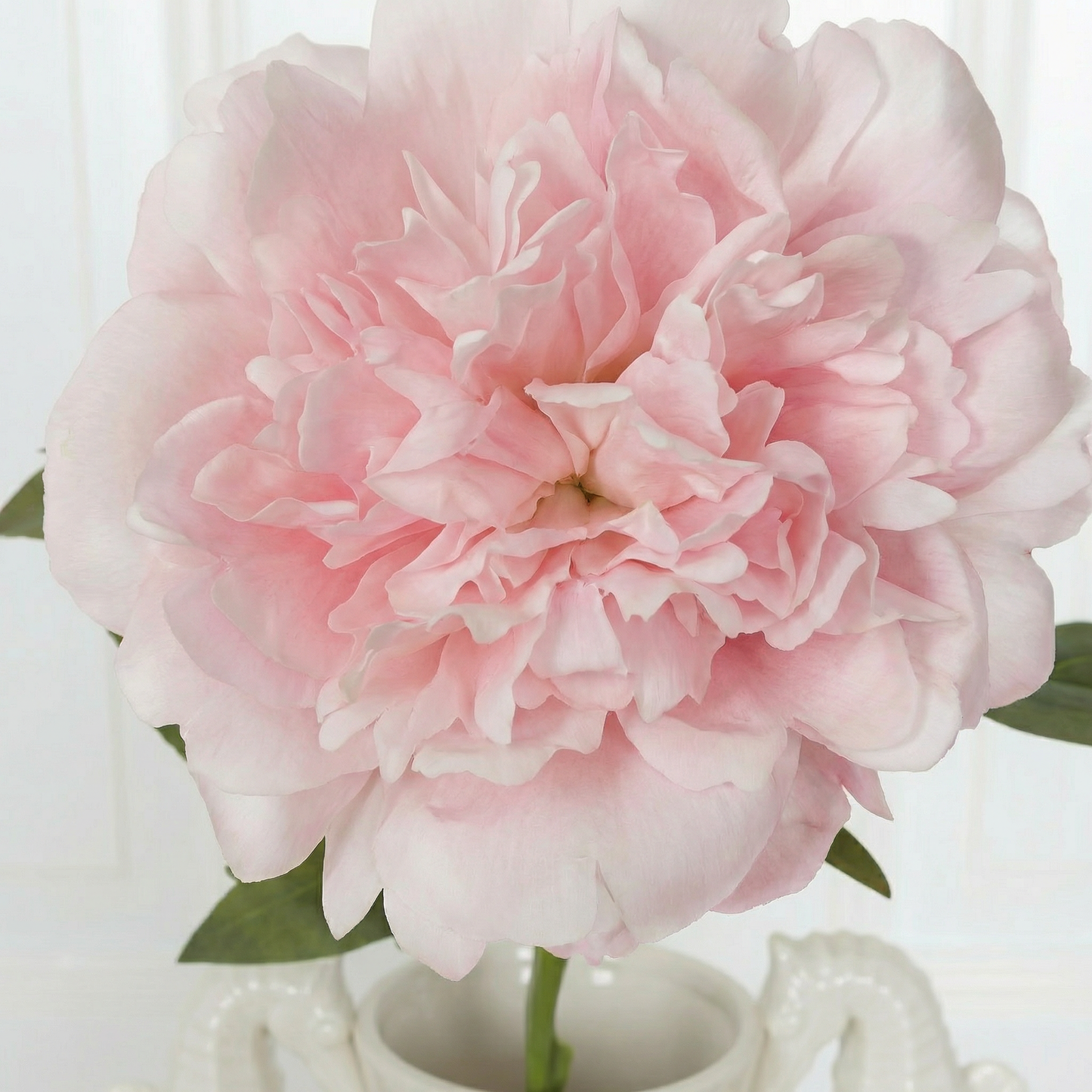 Medium Peony Flower Light Pink Zoom In