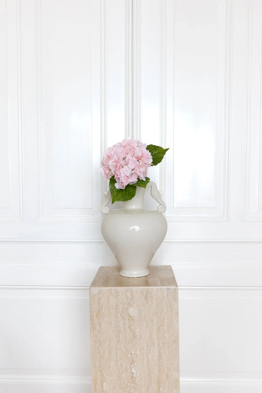 Hortensia Bloem Lichtroze