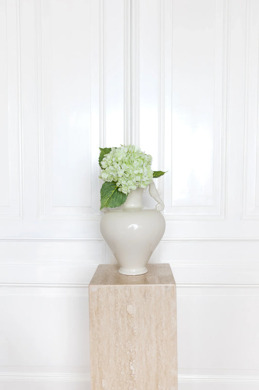 Hortensia Bloem Lichtgroen