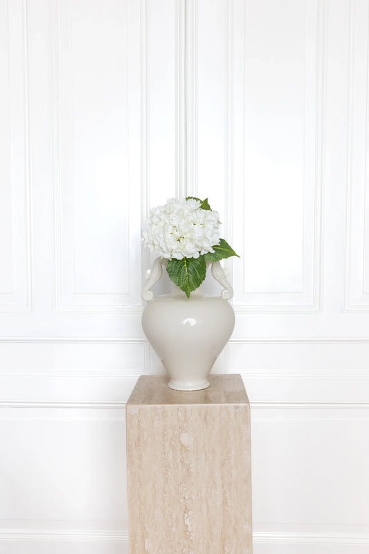 Hydrangea Flower White
