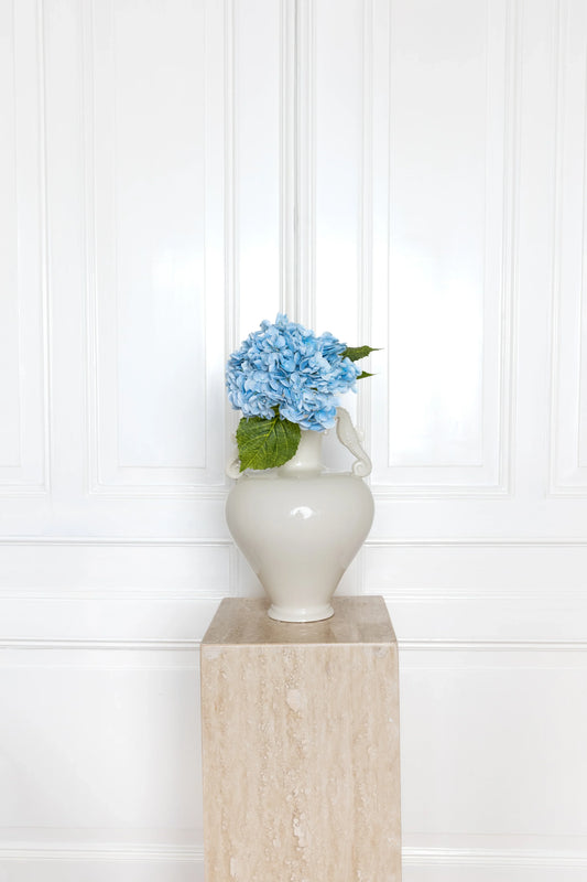 Hortensia Bloem Blauw