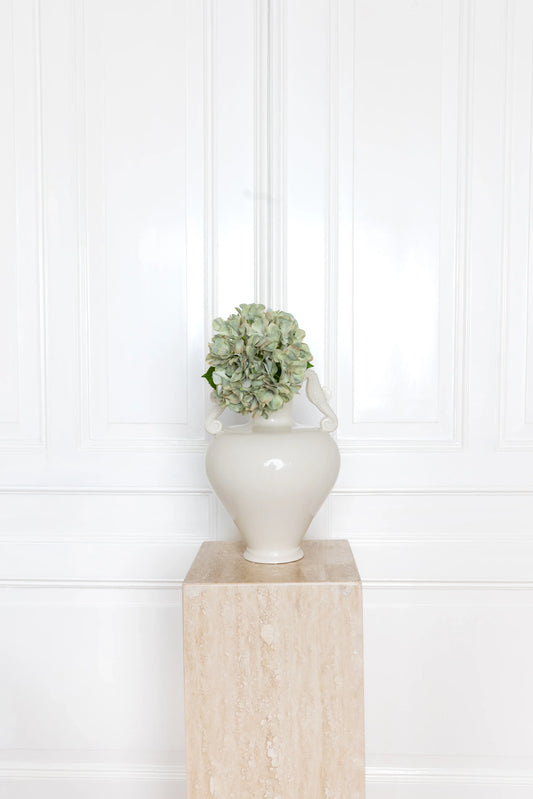 Korte hortensia bloem lichtgroen