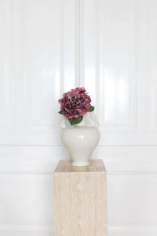 Hortensia bloem Bourgondië