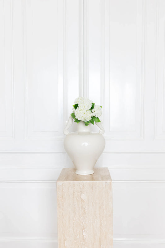 Mini Snowball Hydrangea White