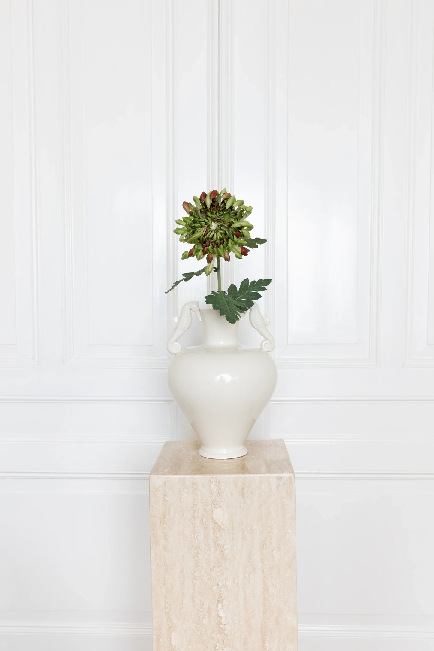 Chrysanthemum Bloem Groen