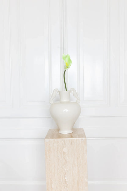 Calla Lelie Bloem Groen
