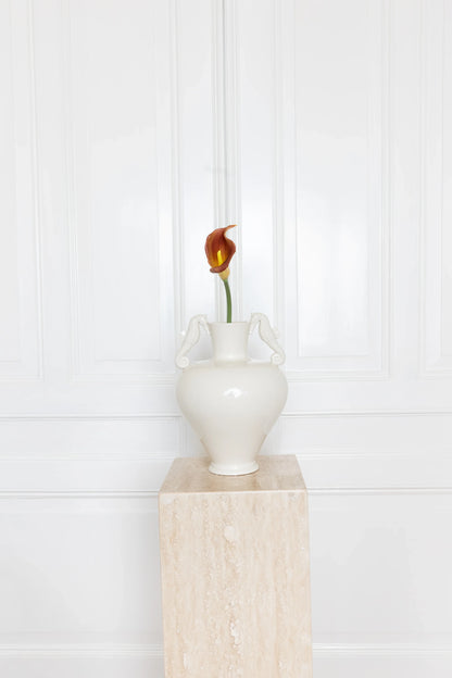 Calla Lelie Bloem Oranje