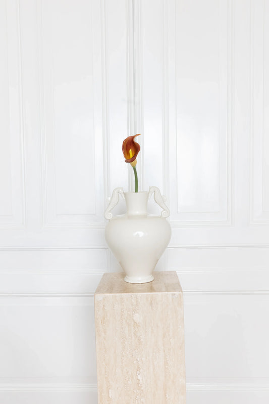 Calla Lelie Bloem Oranje