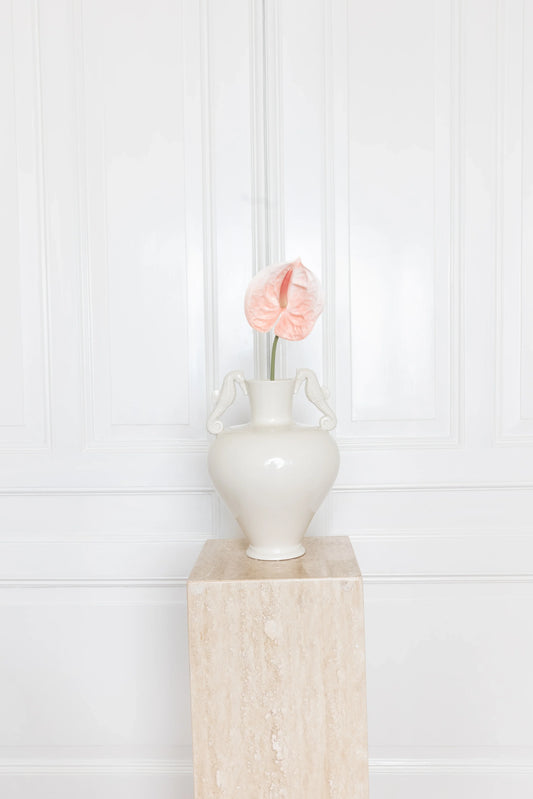 Anthurium Flower Coral