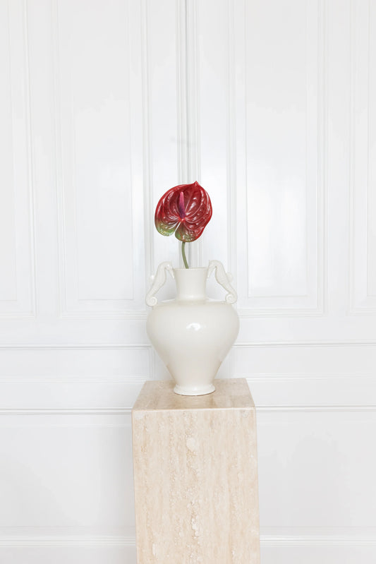 Anthurium Bloem Rood