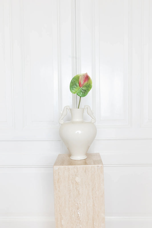 Anthurium Bloem Groen