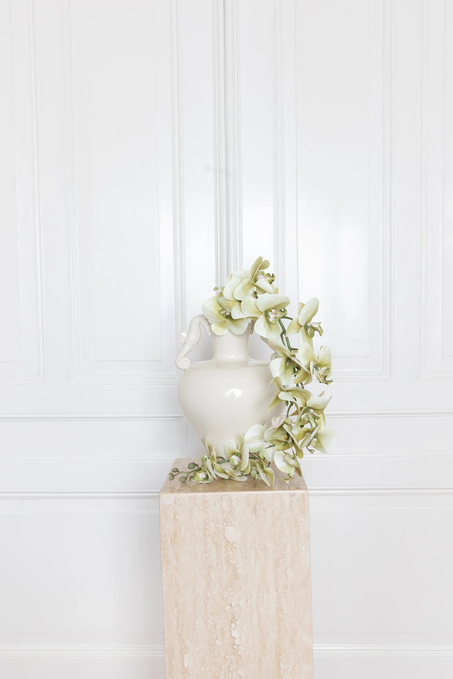 Majestic Orchid Flower Green