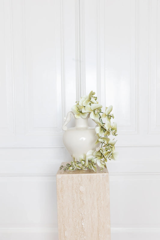 Majestueuze orchideeënbloem groen