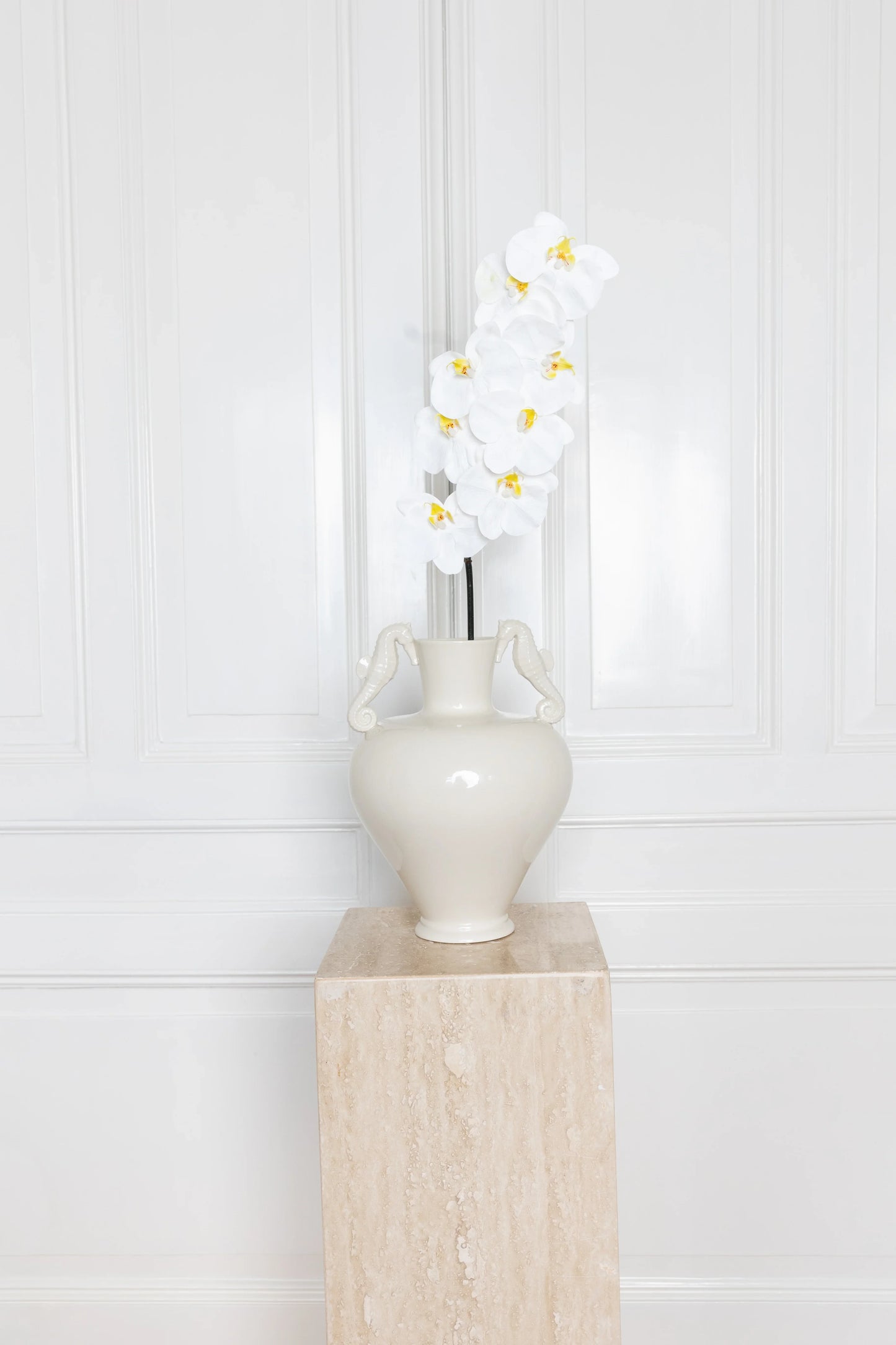 Large Orchid Flower White