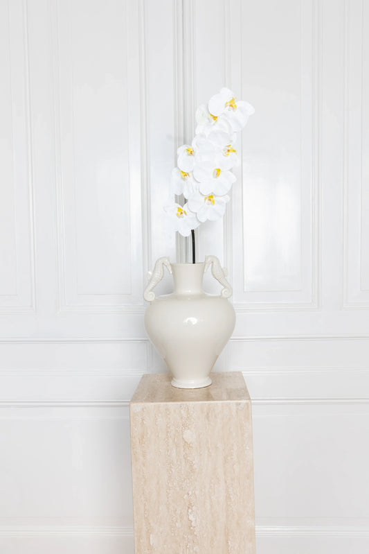 Large Orchid Flower White
