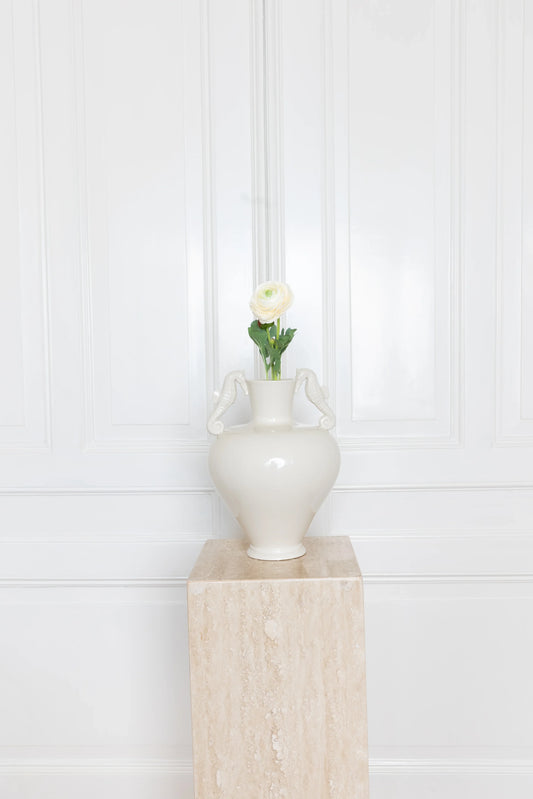 Ranunculus Flower White