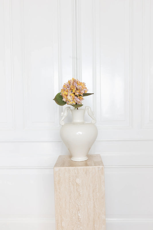 Hortensia Bloem Oranje