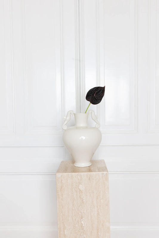 Kleine Anthurium Bloem Burgundy