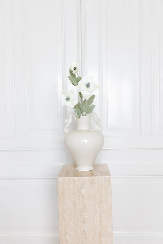 Anemone Flower White