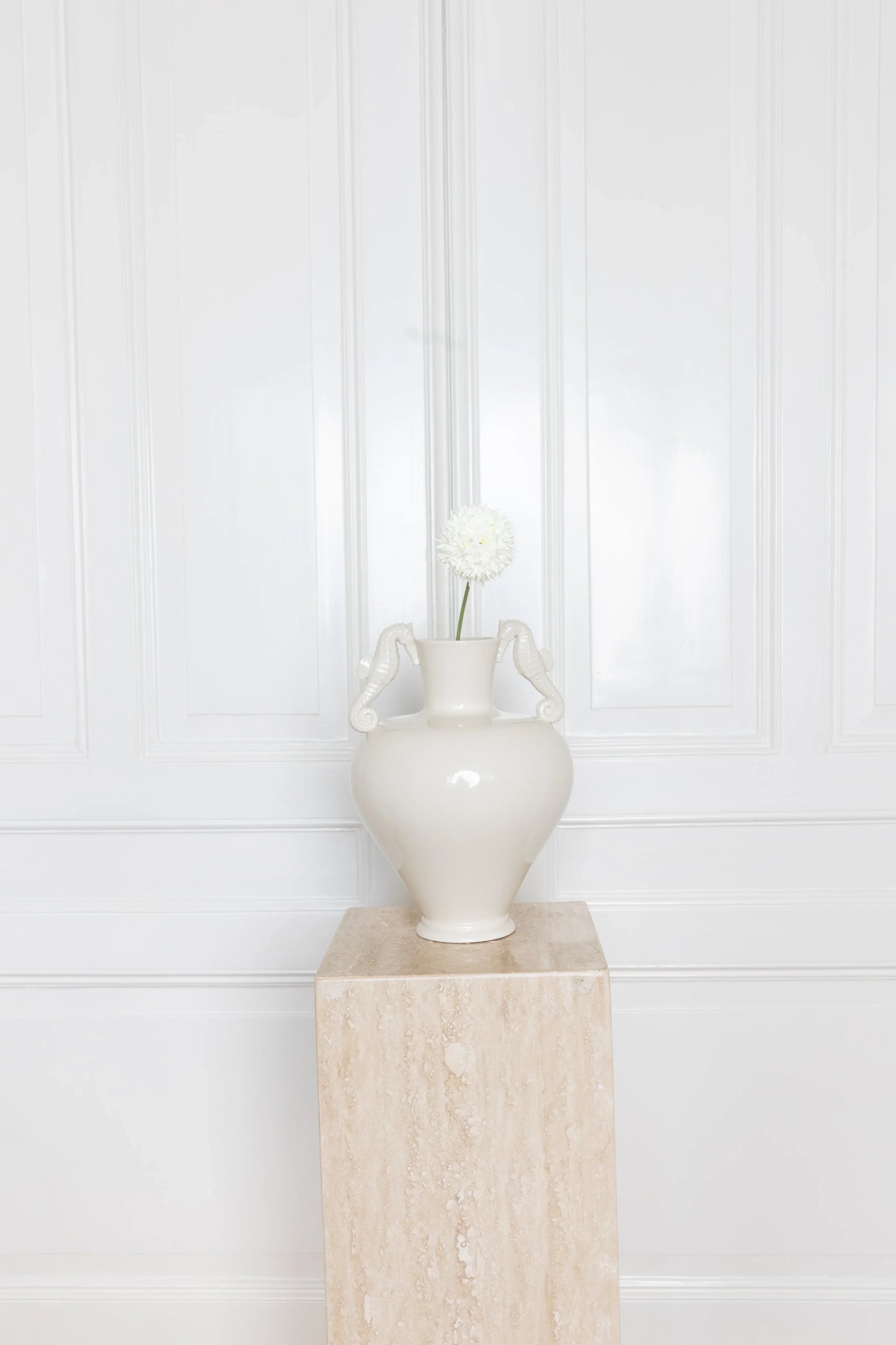 Allium Bulbs White
