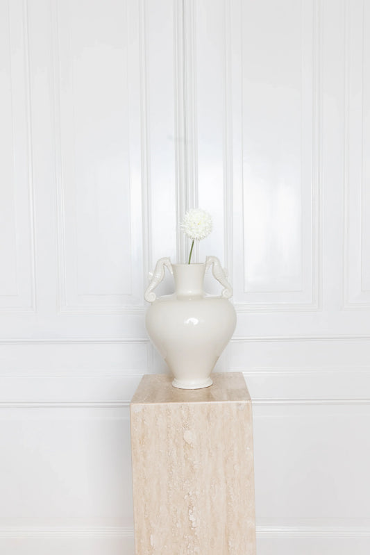 Allium Bulbs White