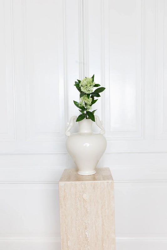 Skimmia Berry Tak Lichtgroen
