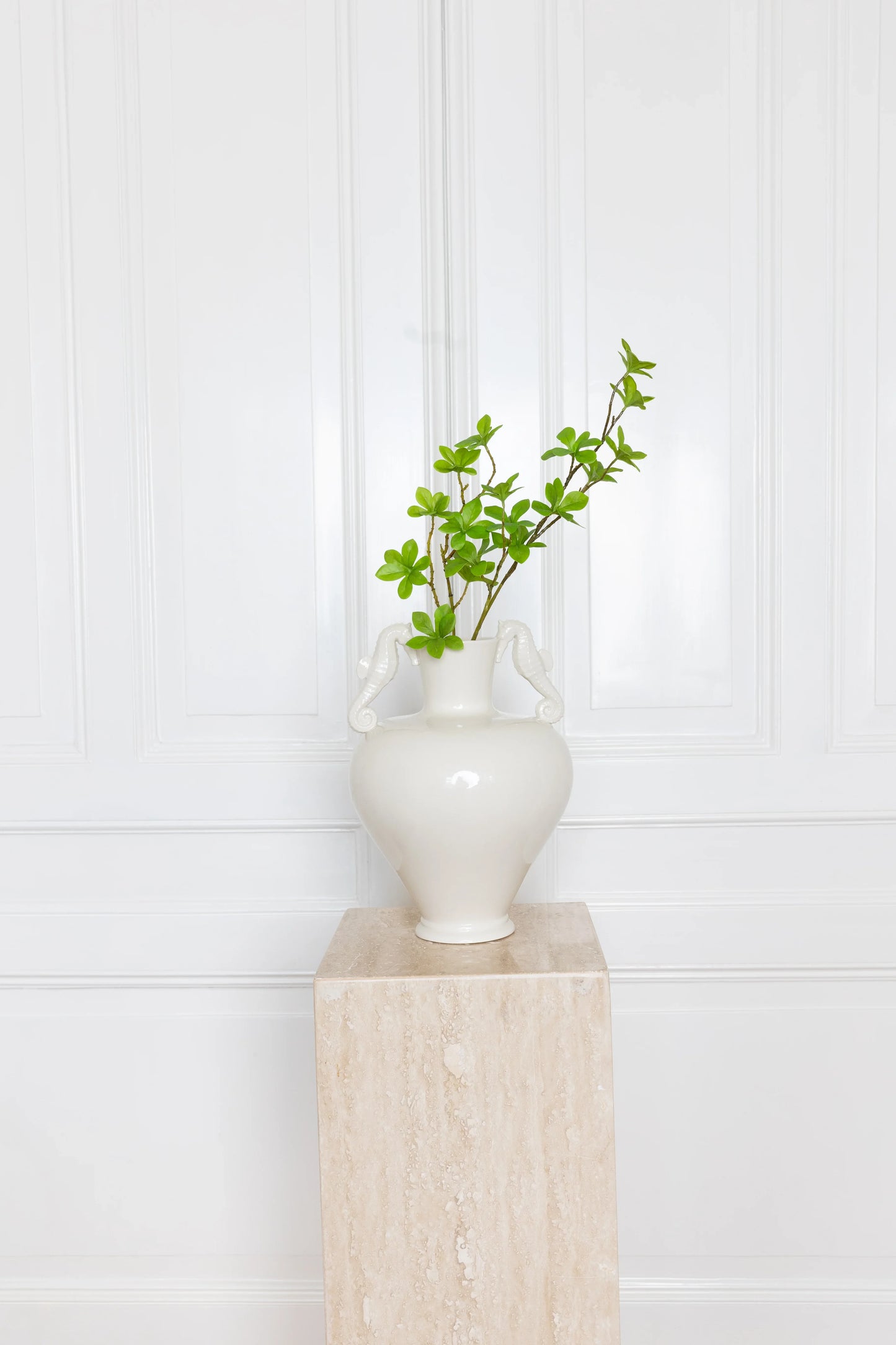 Enkianthus Perulatus Bladeren Groen